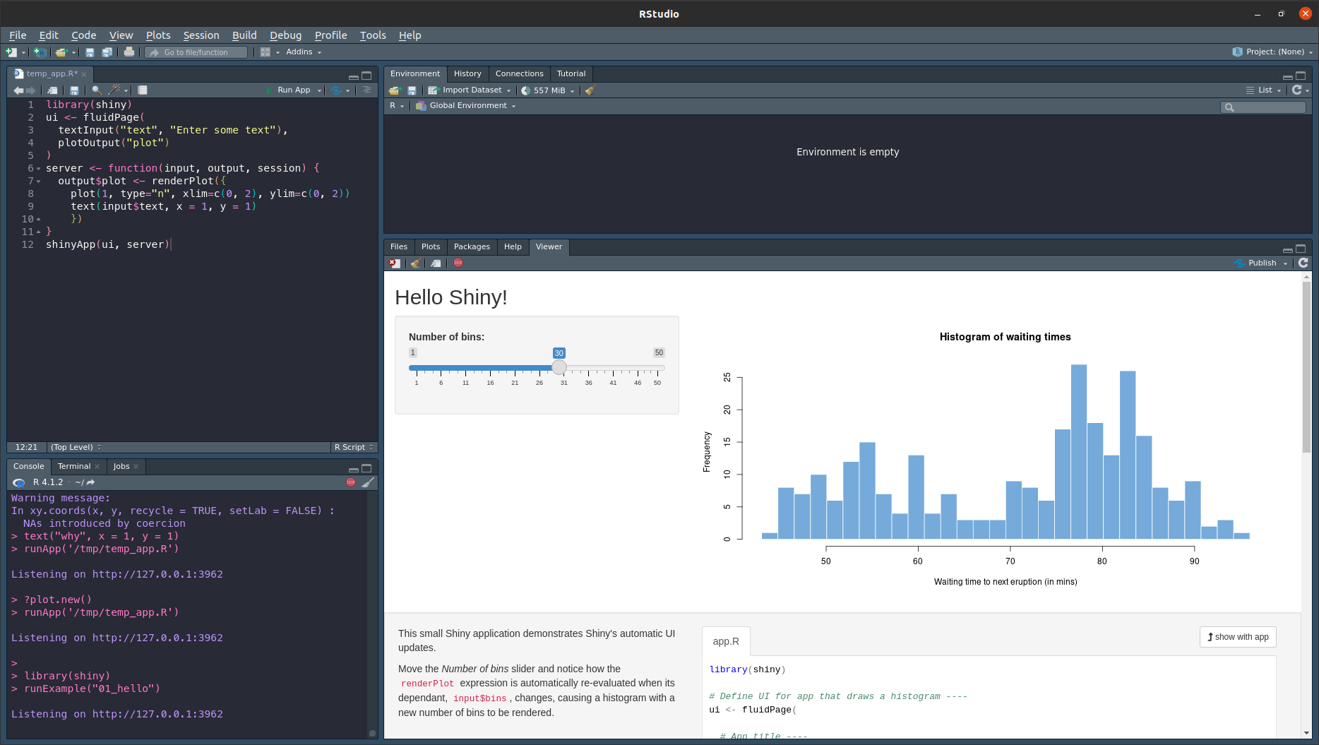 A basic shiny app inside RStudio