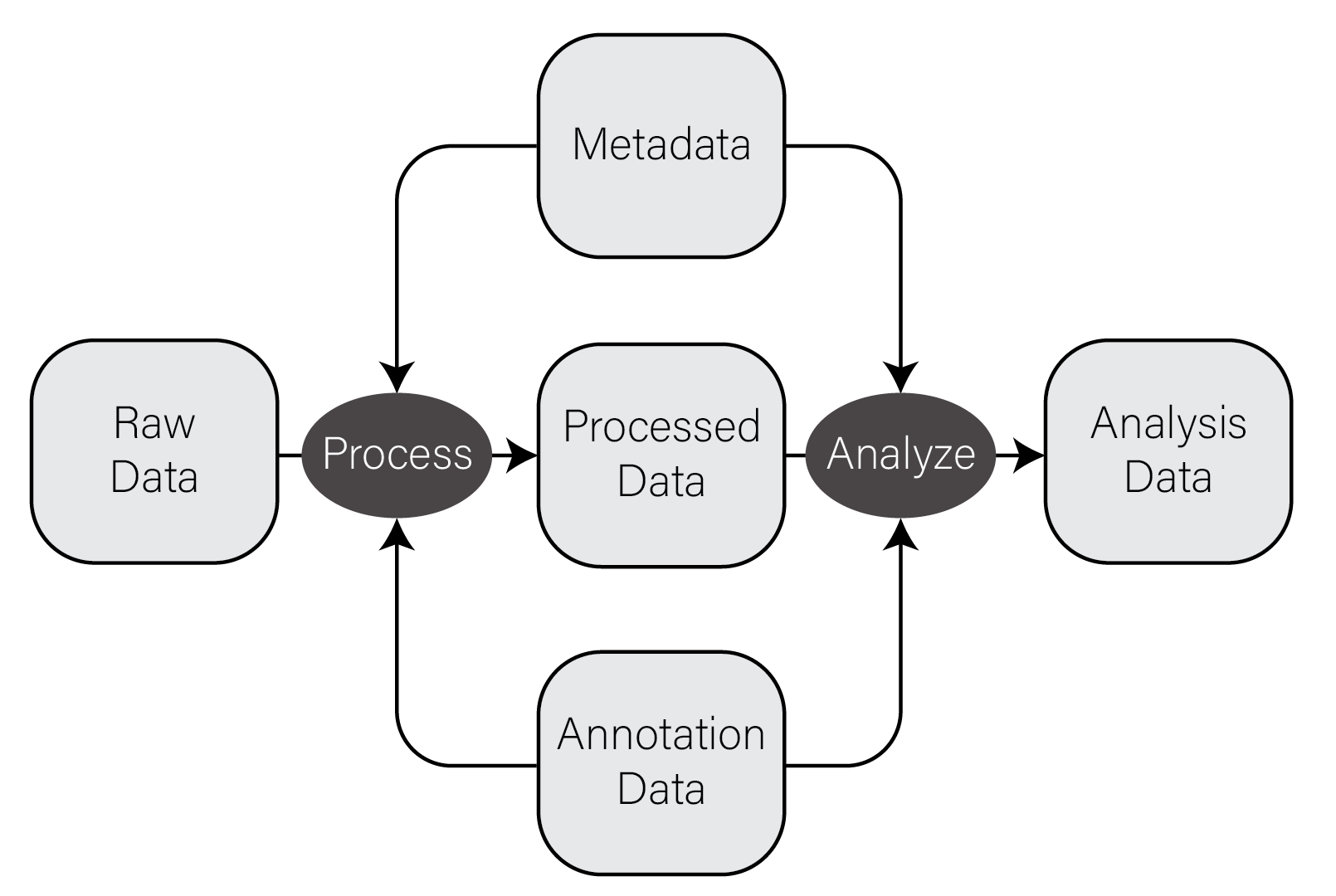 Information flow in biological data analysis