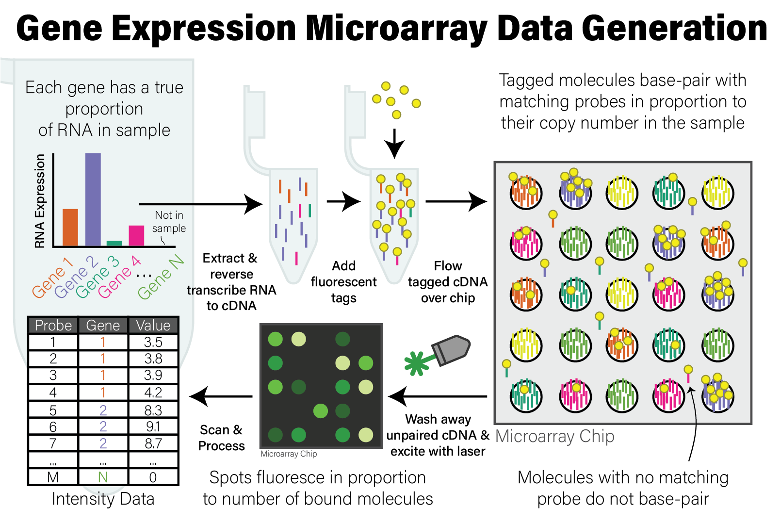 Illustration of Microarray Data Generation Process