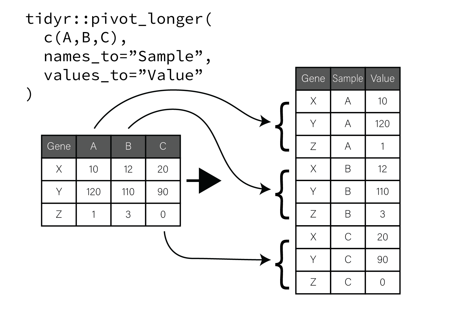 Pivot longer moves columns and values to two new columns