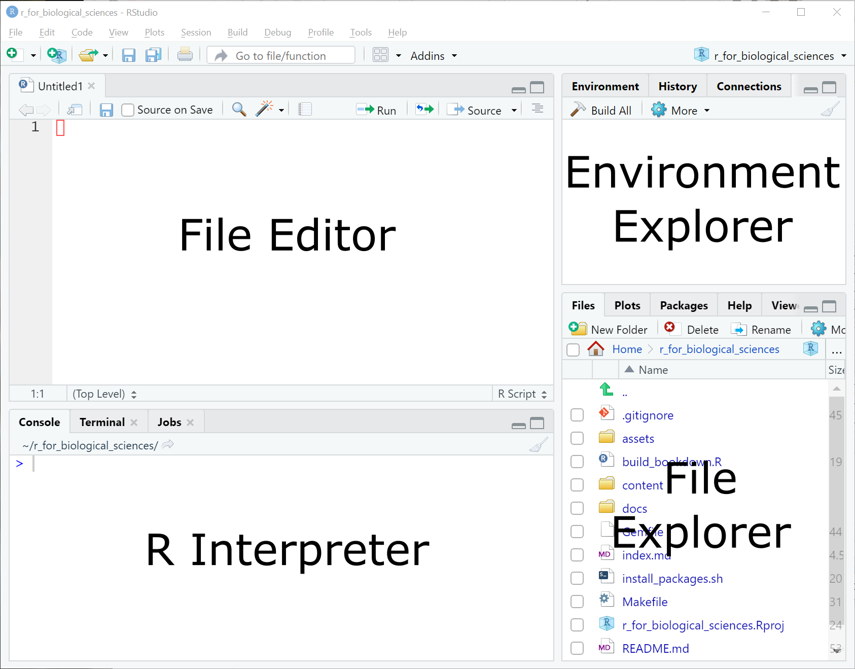 Basic RStudio Interface