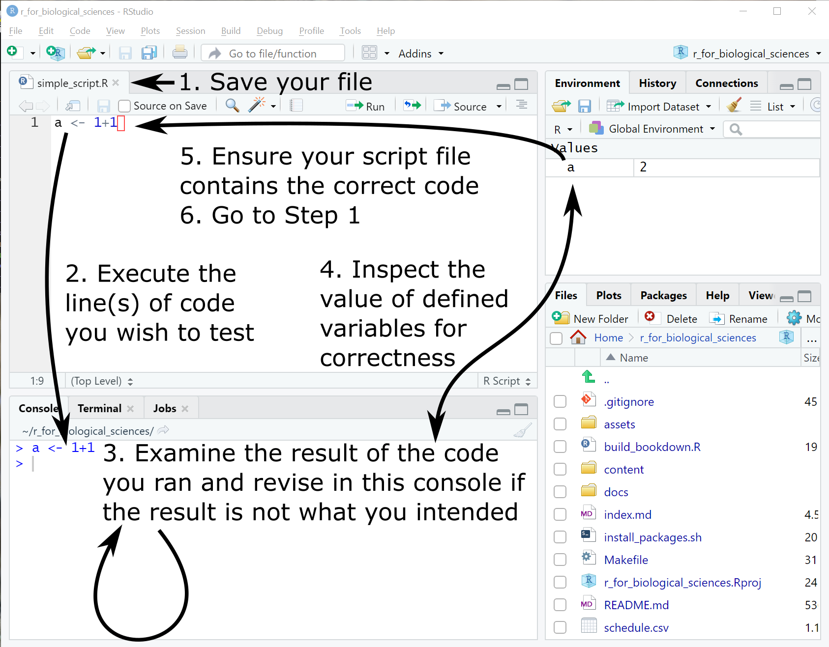 RStudio workflow